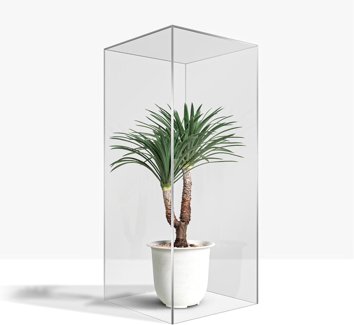 StarK Dekosäule Aus Acrylglas - Transparenter Pflanzenständer 80cm