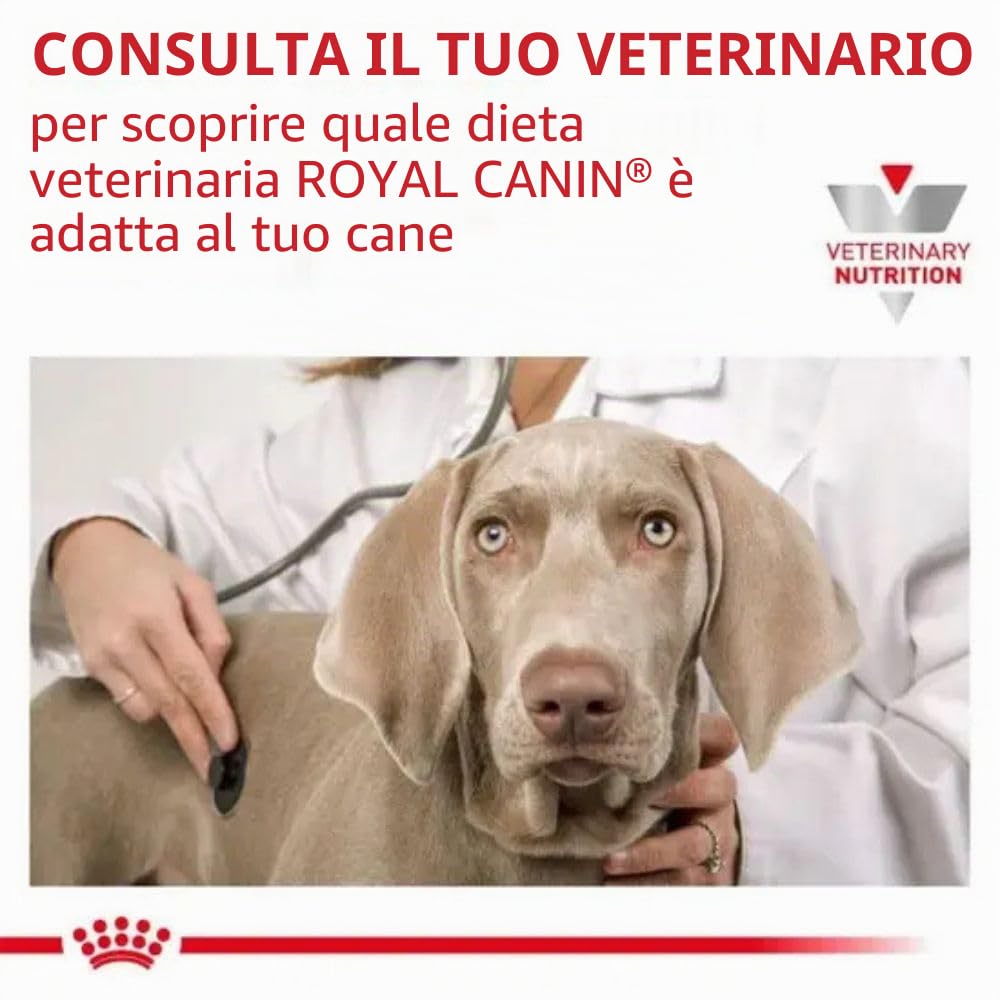 Royal Canin - Crocchette per cani Veterinary diet - Gastro Intestinal low fat, 6 kg