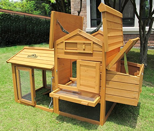 Pets Imperial® Clarence Kleiner Hühnerstall - Schiebetablett & integrierter Hühnerauslauf - Hühnerhaus mit 2 Nistplätzen – Bild 4