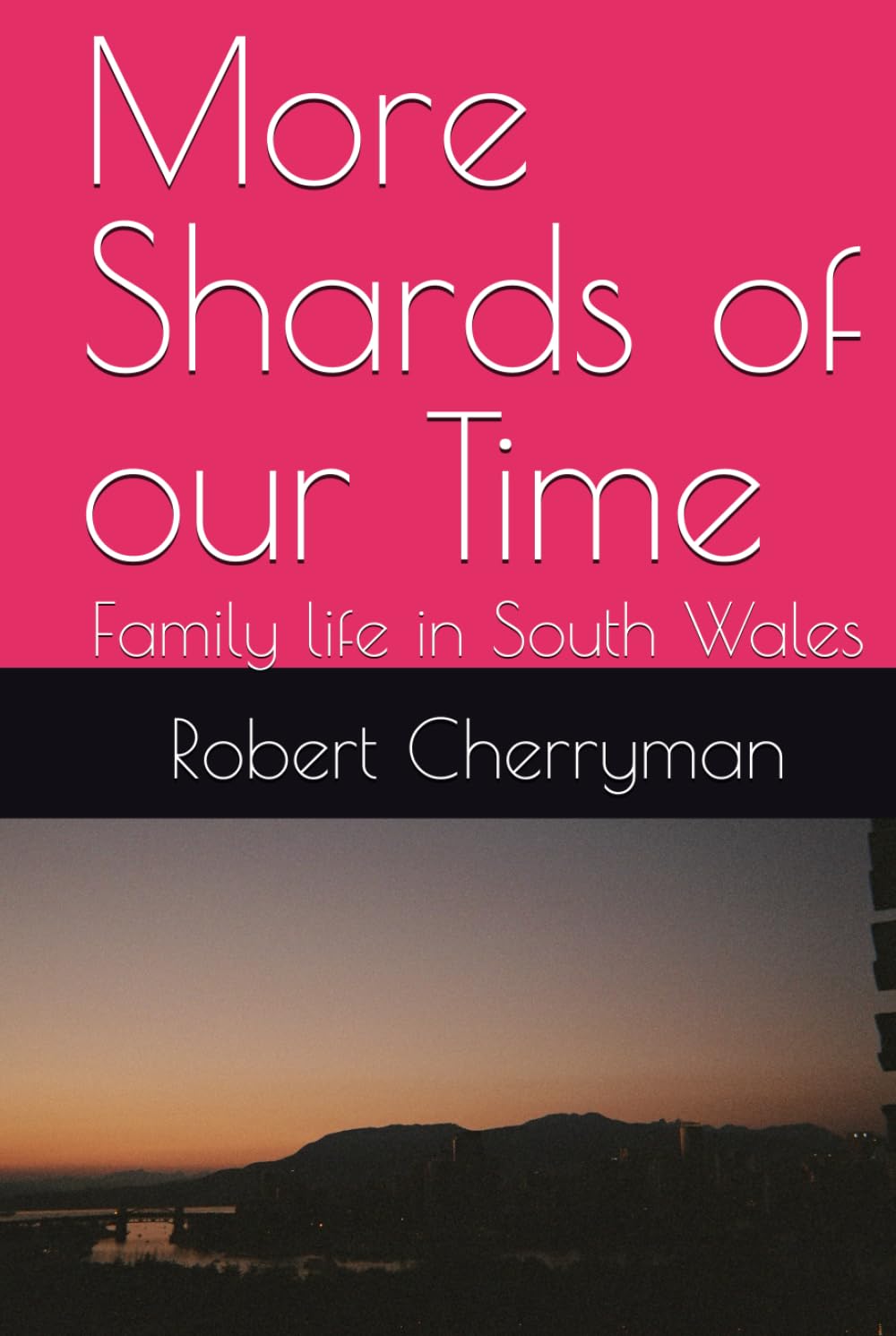 More Shards of our Time: Family life in South Wales
