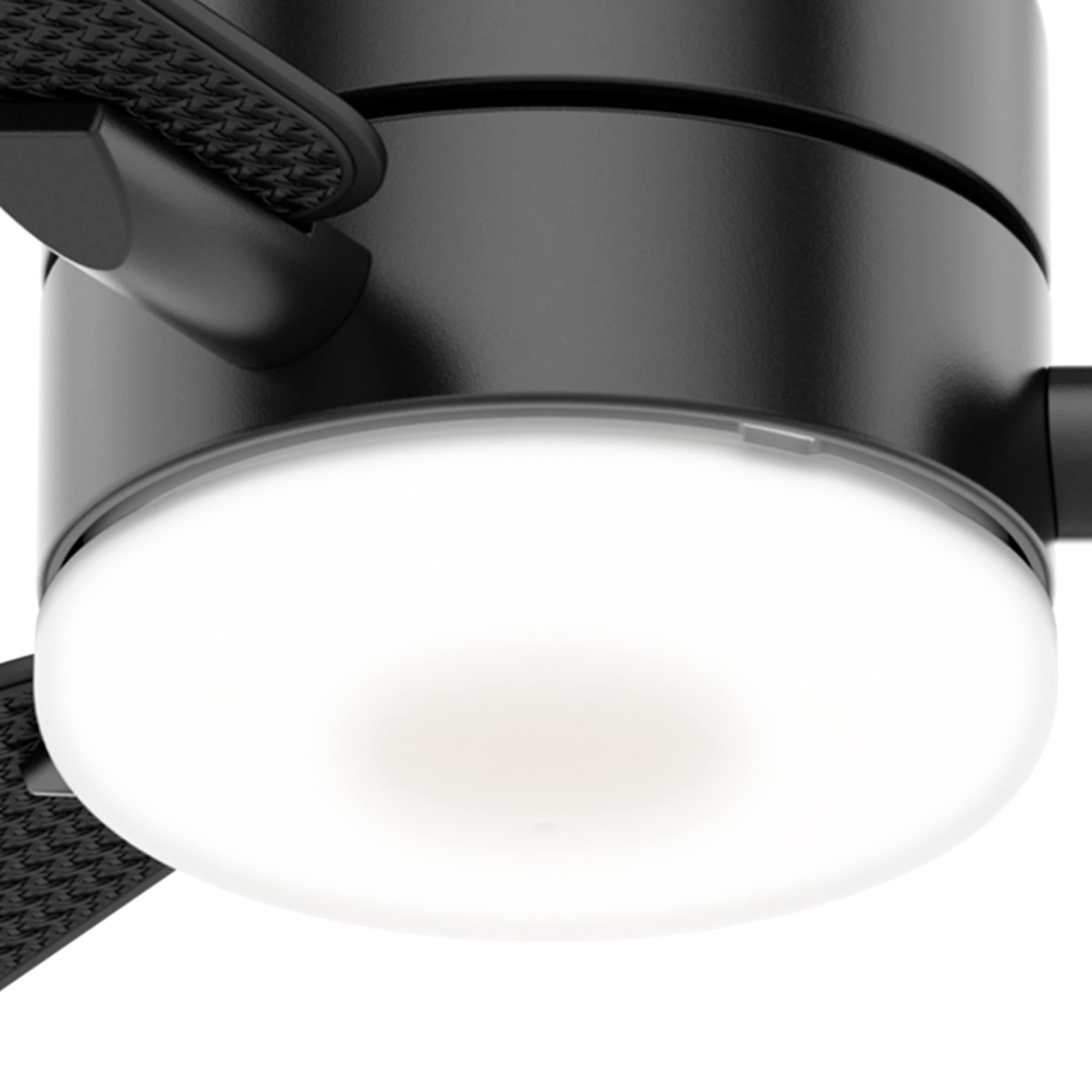 Buy Hunter Fan Company 59428 Casablanca 54" Paume LED Light Kit and