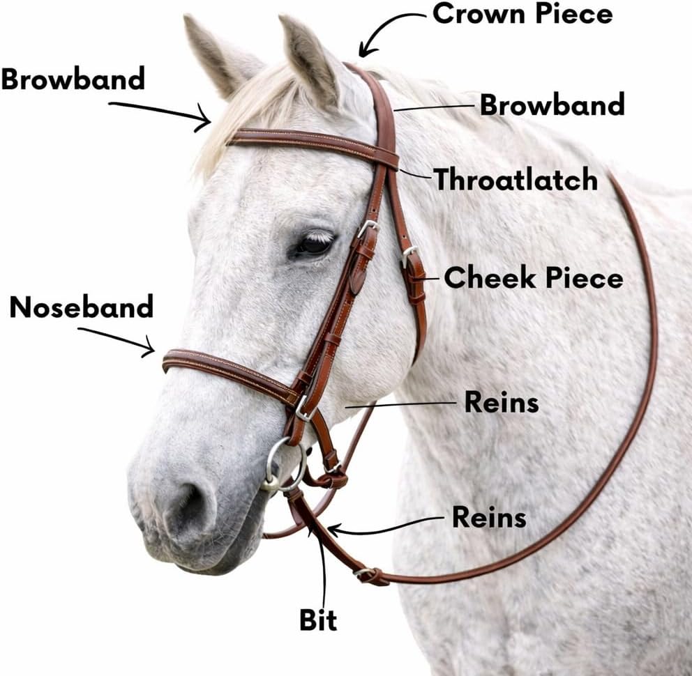 CHALLENGER English Western Horse Leather BITLESS Bridle SIDEPULL Halter REINS 77RS11MG-F