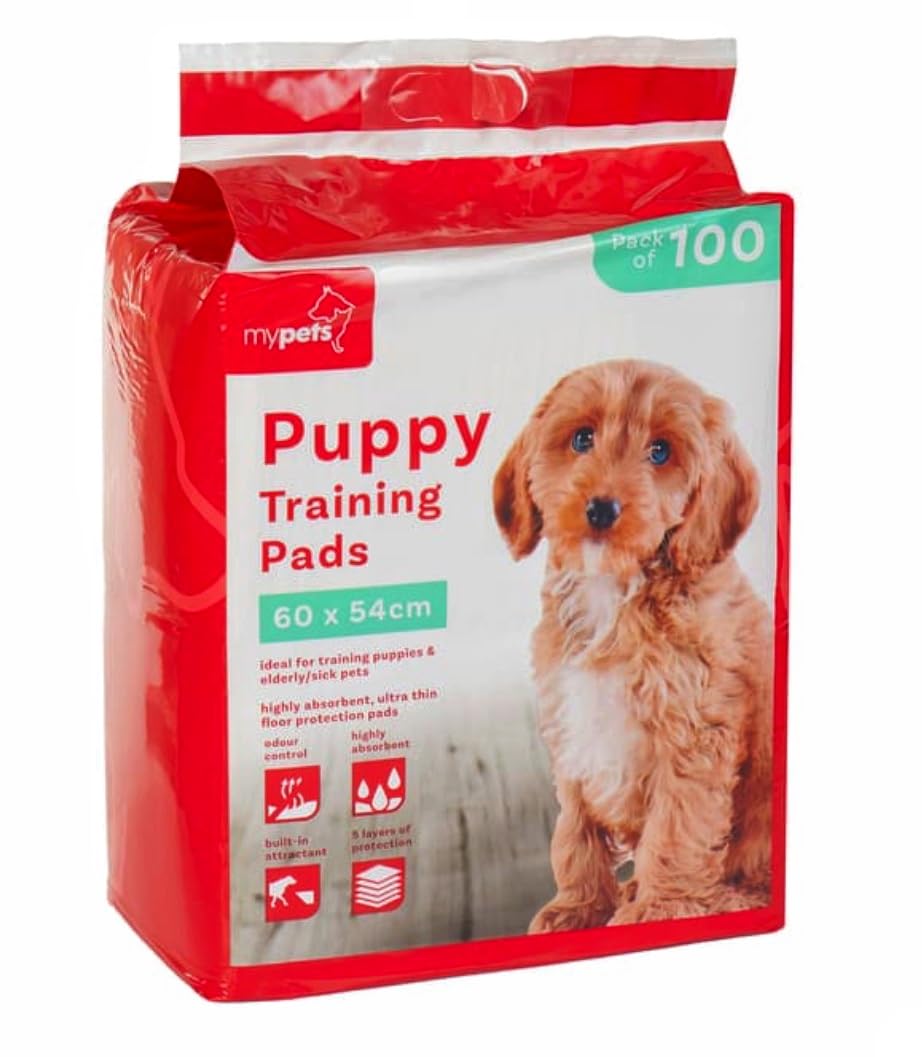 New Large Puppy Training Pads, 60 x 54 cm, Pack of 100, Highly Absorbent, Ultra Thin Floor Protection