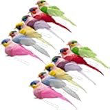 LWINGFLYER 12PCS Colorful Artificial Birds for Decoration Spring Courtyard Trees Flower Arrangement Scene Wedding Crafts Christmas Trees (12pcs Claw)