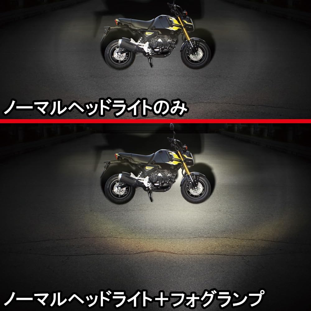 Amazon | スペシャルパーツ武川(TAKEGAWA) LEDフォグランプ