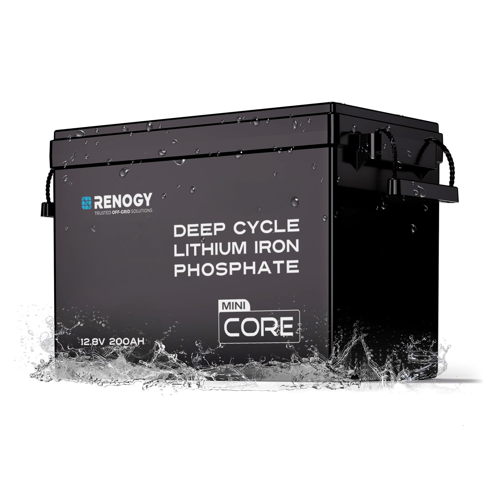 Renogy 12V 200Ah LiFePO4 Lithium Battery, Mini Size 100A BMS RV Boat