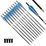 Tiger Archery 20inch Hunting Archery Carbon Arrow Crossbow Bolts with 4' vanes Feather and Replaced Arrowhead/Tip(Pack of 12) … (Blue)
