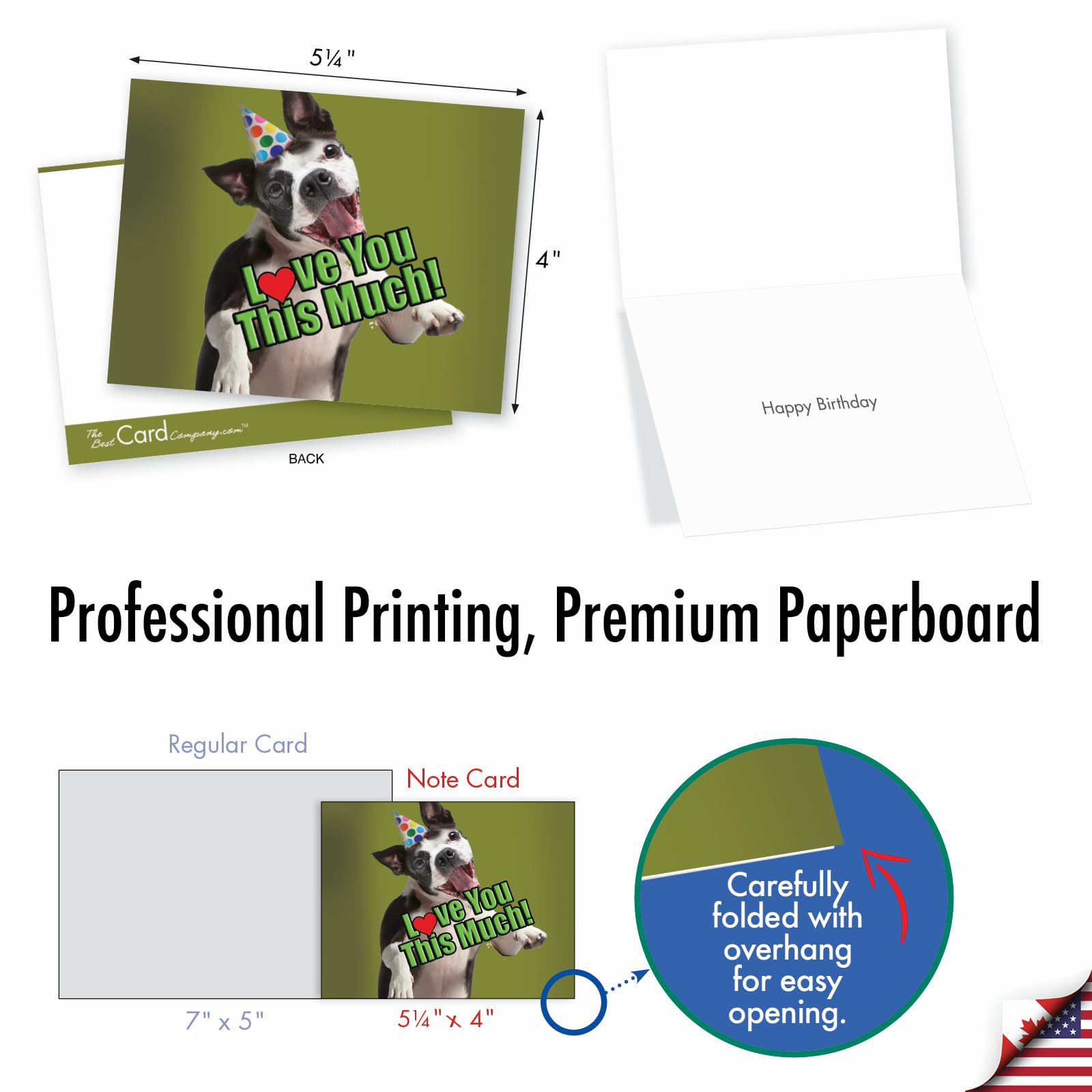 Joyeux Anniversaire Chien Pourri ! : Colas Gutman - Romans - Livres Dès 12 Ans - Livres Pour Enfants Dès 12 Ans