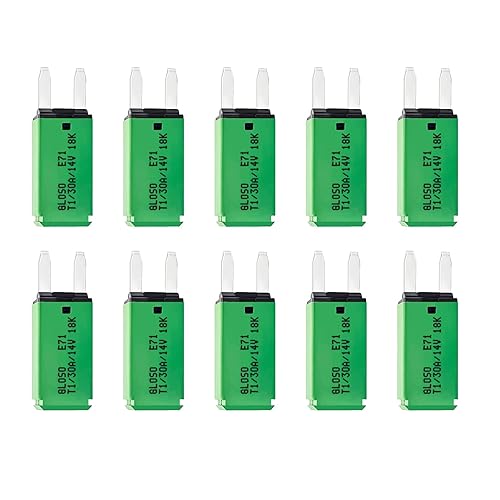 Jamgoer DC 10 piezas 30 Amp auto reset ATM Mini disyuntor (10A-30A) Kit surtido de fusibles de hoja para barco, marina, RV, yate, batería, remolque,