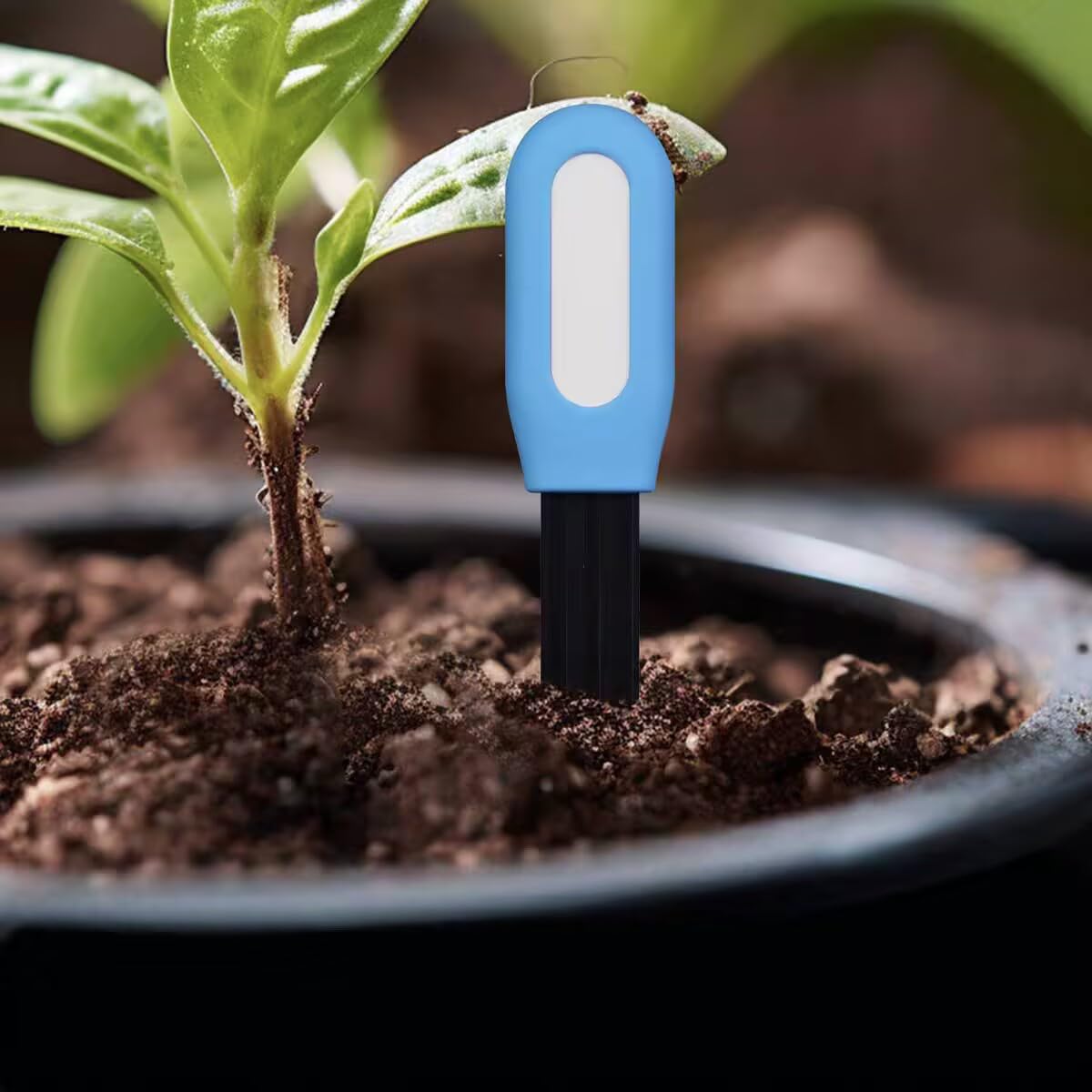 Sensore intelligente Zigbee per il terreno - Richiede TUYA HUB, supporta Zigbee2mqtt/Home Assistant (uso in giardino)