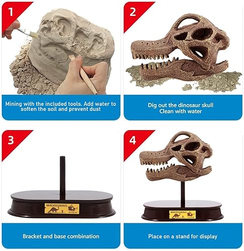 Miniatura 5 de ArtCreativity Kit de excavación de dinosaurios para niños, juego de excavación de cráneo de braquiosaurio con herramientas de excavación de fósiles