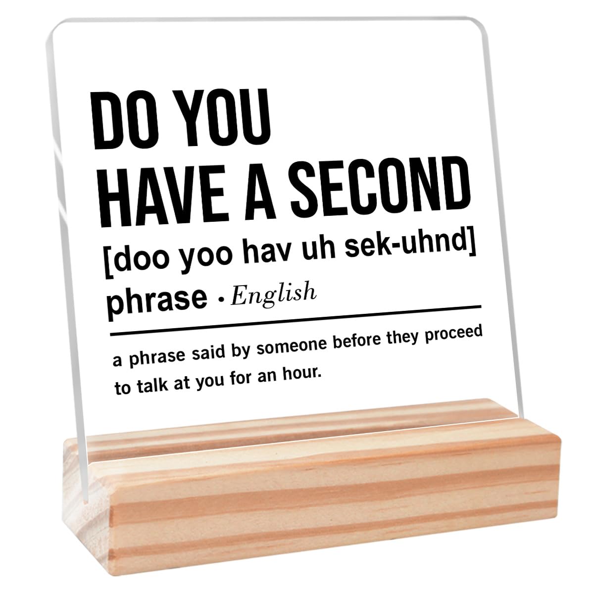 Funny Office Signs,Humor Office Desk Decor,Fun Office Gifts for Coworkers,Colleague Gift for Women Men,Office Cubicle Decor,Do You Have A Second Definition Acrylic Sign Plaque