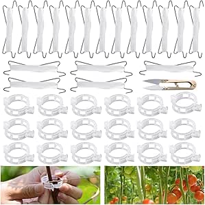 MEMOFYND Tomatenhaken 200 Stück - Pflanzenhalter Für Gemüse & Obst Mit Vliesbeutel