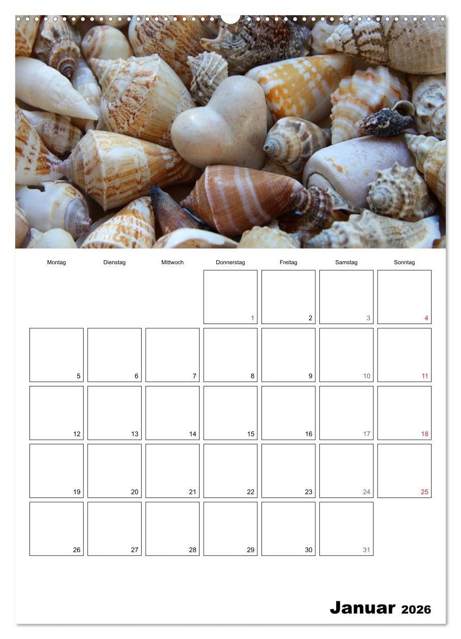 Ein herzliches Jahr (hochwertiger Premium Wandkalender 2026 DIN A2 hoch), Kunstdruck in Hochglanz: Ein Kalender-Schmuckstück für die ganze Familie (CALVENDO Lifestyle)