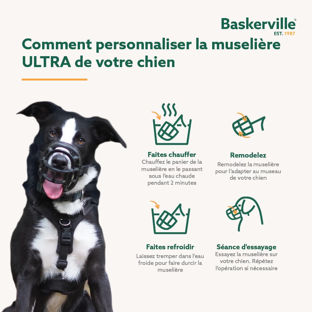 THE COMPANY OF ANIMA Baskerville Ultra Muselière pour Chien Noir 5 Retriever