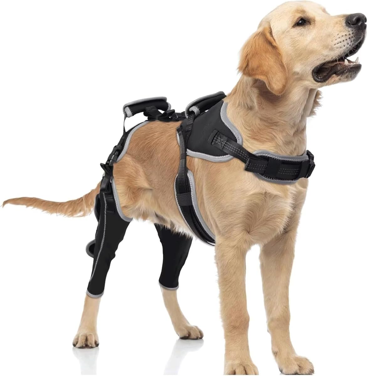 TIPOOP Dog Knee Brace for ACL/CCL Injuries,Torn Ligament,Luxating Patella - Rear Leg Support,Pain Relief,Joint Warmth,Black,Upgraded,Both Legs,Size:L