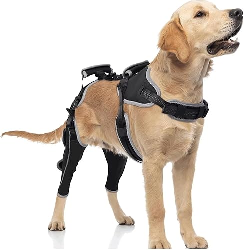 Dog Knee Brace for ACL/CCL Injuries,Torn Ligament,Luxating Patella - Rear