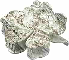 Amazon.co.jp: [マリメッコ] Unikko Hair Clip Large レディース