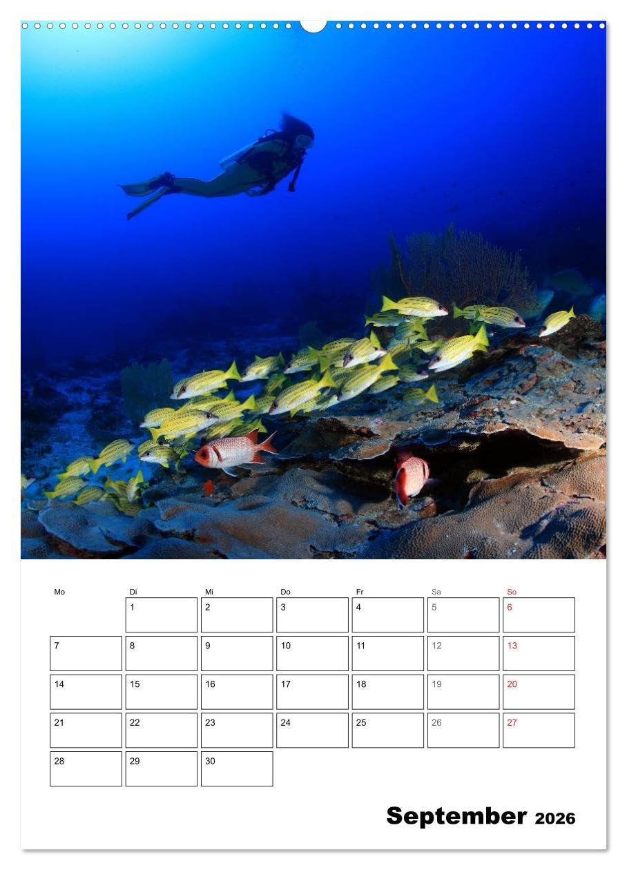 Tauchen - Abtauchen und Staunen (hochwertiger Premium Wandkalender 2026 DIN A2 hoch), Kunstdruck in Hochglanz: Abtauchen in die faszinierende Unterwasserwelt unserer Meere