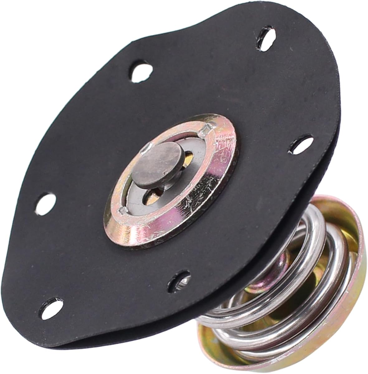 Diafragma regulador de presión de combustible para Chevy Cadillac Buick Pontiac | Para Cimarron Camaro Cavalier Celebrity Citation II Corvette Cutlass Ciera Firenza 6000 Fiero Firebird Skylark