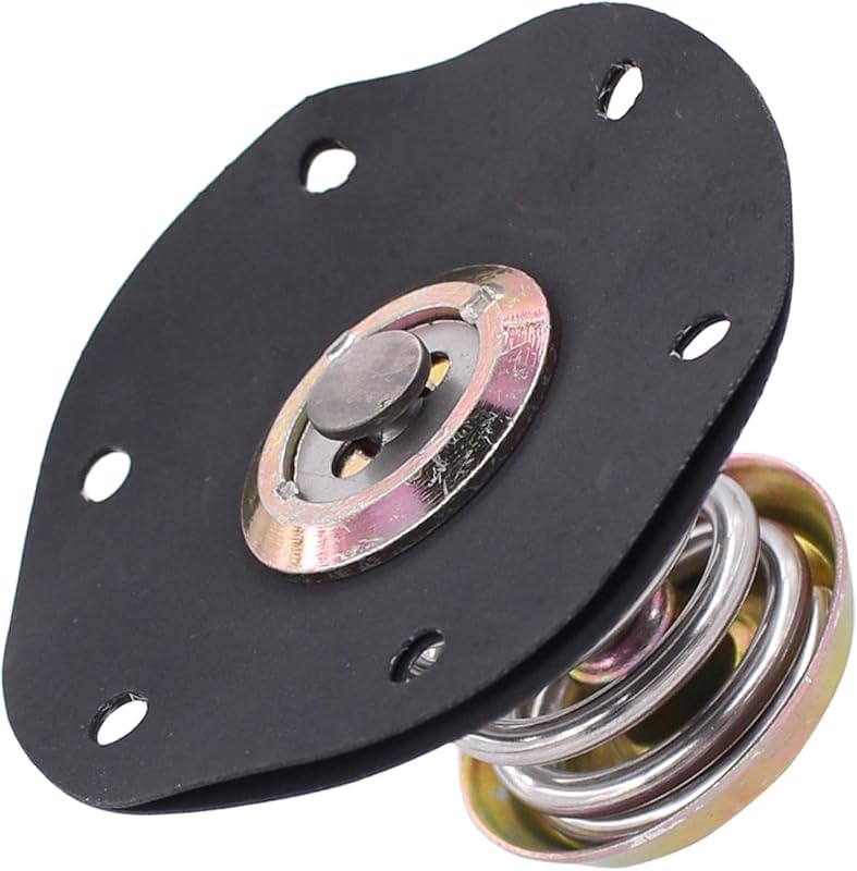 Diafragma regulador de presión de combustible para Chevy Cadillac Buick Pontiac | Para Cimarron Camaro Cavalier Celebrity Citation II Corvette Cutlass Ciera Firenza 6000 Fiero Firebird Skylark