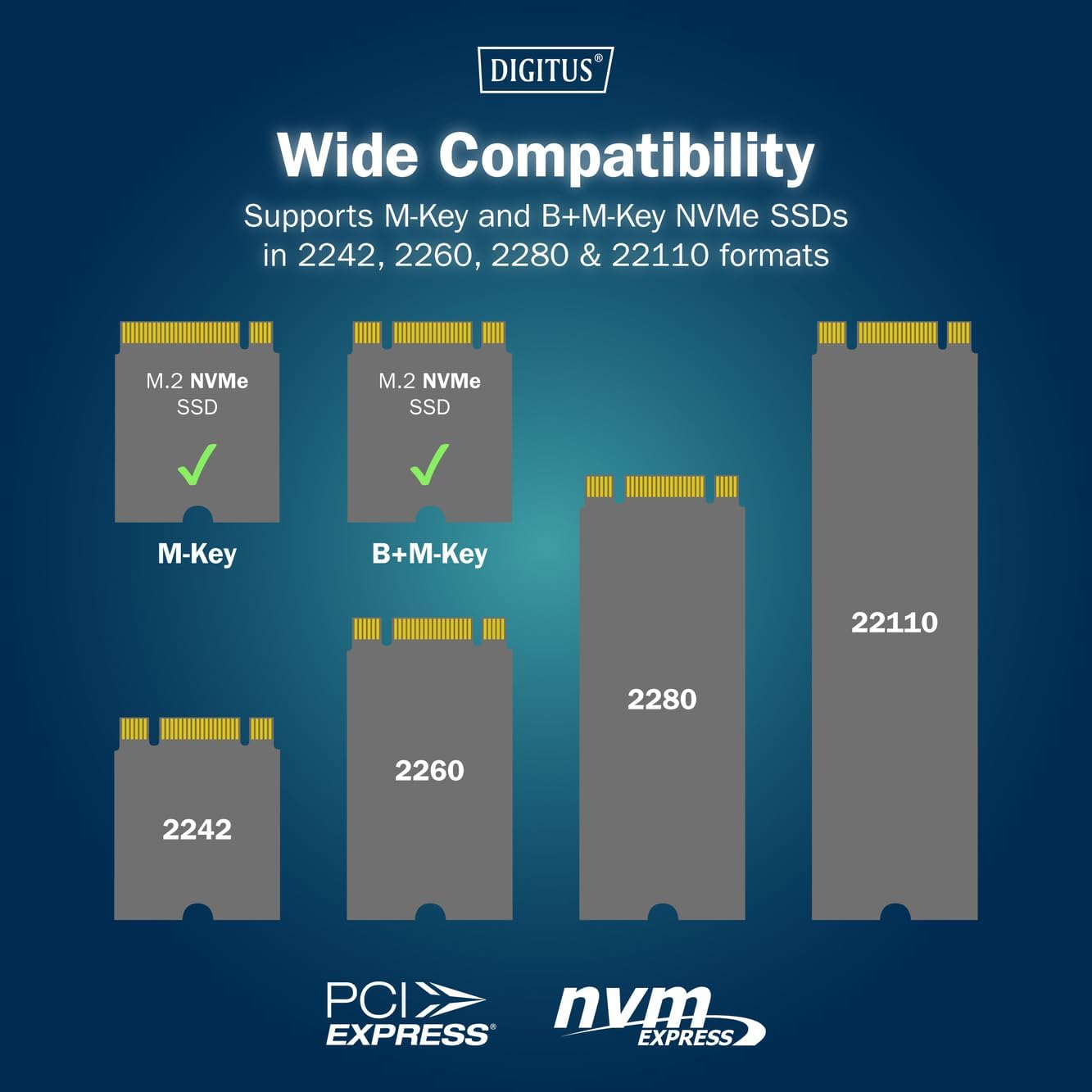 DIGITUS Dual M.2 NVMe SSD Clone Station - USB 3.1 Gen2 Type-C - M.2 module type 22110, 2280, 2260, 2242 - M/B+M key - Offline clone function - 10 Gbit/s - Black