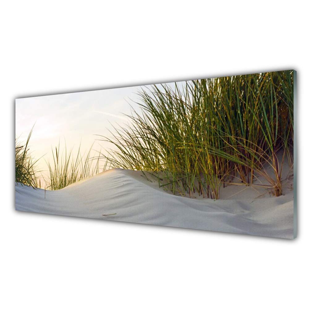 Impression sur verre acrylique 125x50cm avec paysage herbe et sable et 4 crochets
