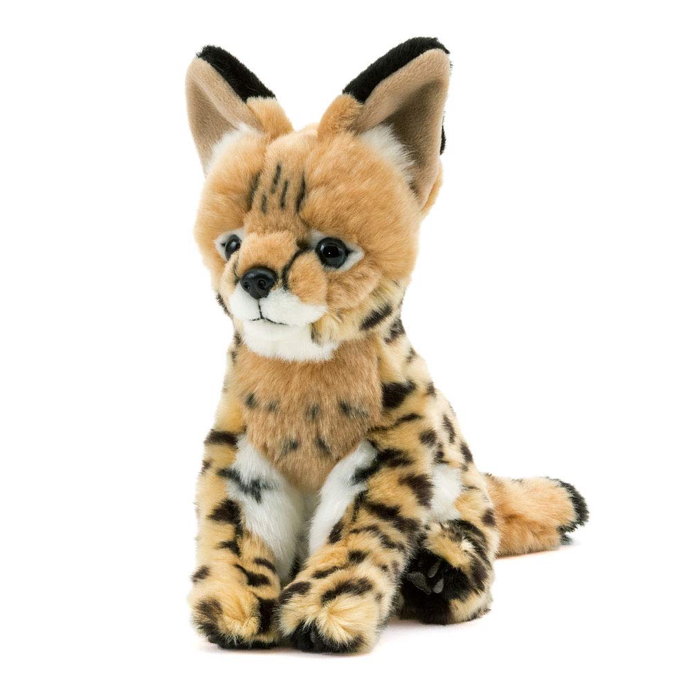 Amazon.co.jp: カロラータ サーバルキャット ぬいぐるみ (子/リアル