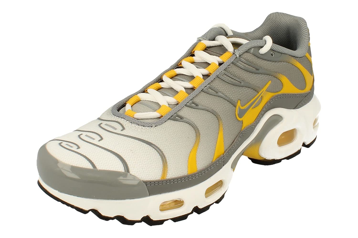 Nike Air Max Plus GS Running Trainers DJ4619 Sneakers Shoes (UK 6 US 6.5Y EU 39, Particle Grey 002)