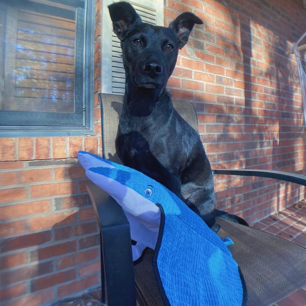 SmartPetLove Snuggle Puppy Tender-Tuffs - Extra Large Blue Stingray Big Ray Tug of War Plush Dog Toy - Great for Play and Interaction with Puncture Resistant Squeaker