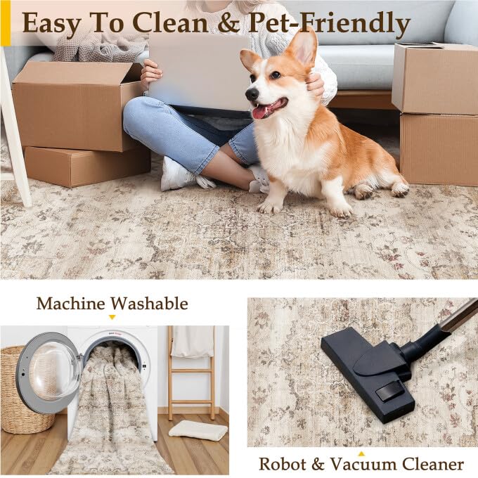 https://m.media-amazon.com/images/I/616SWLvzC3L.jpg