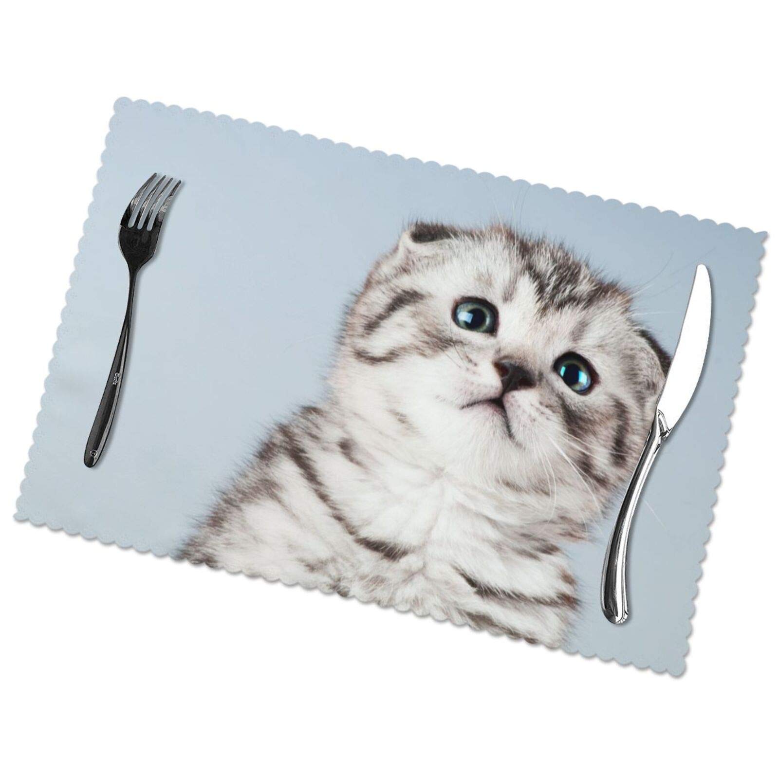Amazon ランチョンマット ランチマット 青 スコティッシュフォールド 目 ネコ 猫柄 キュートテーブルマット 撥水 防汚 断熱 滑り止め 雰囲気アップ 水洗い 家庭 レストラン用 6枚セット30cm 45cm ランチョンマット オンライン通販