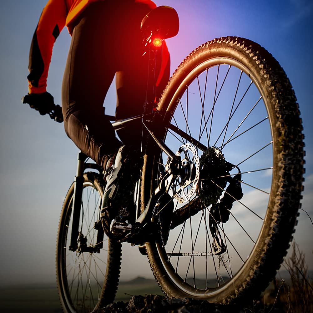 Luci Posteriori Bicicletta Intelligenti - NIUAWASA Rilevamento Della Frenata Auto On/Off Luci Posteriori Bici Ricaricabile USB IP66 Impermeabile Fanalino per Biciclettas