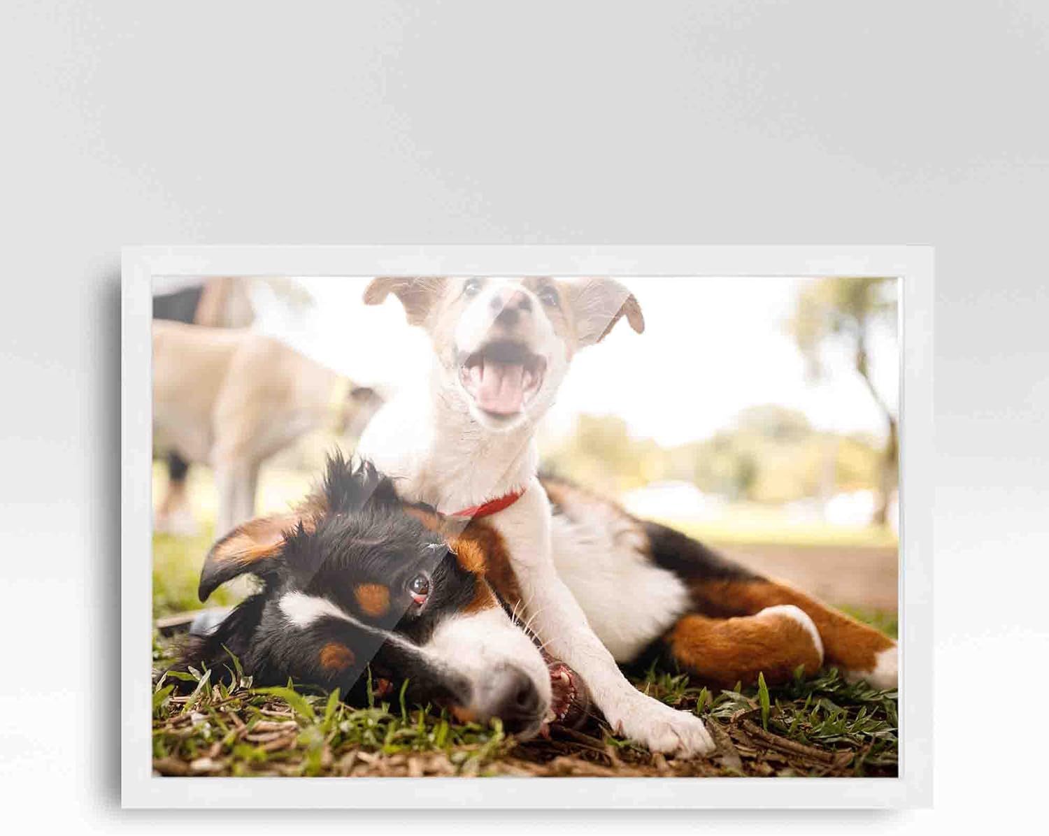 How To Frame A 6X9 Photo at Debra Stengel blog