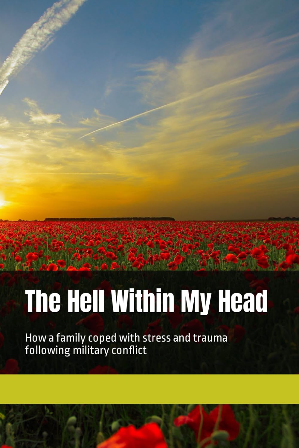 The Hell Within My Head: How a family coped with stress and trauma following military conflict