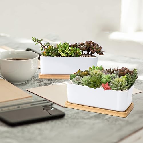 Miniatura 5 de Macetas de cerámica blanca para suculentas, macetas para suculentas de interior y exterior, juego de 2 pequeños contenedores para cactus, macetas