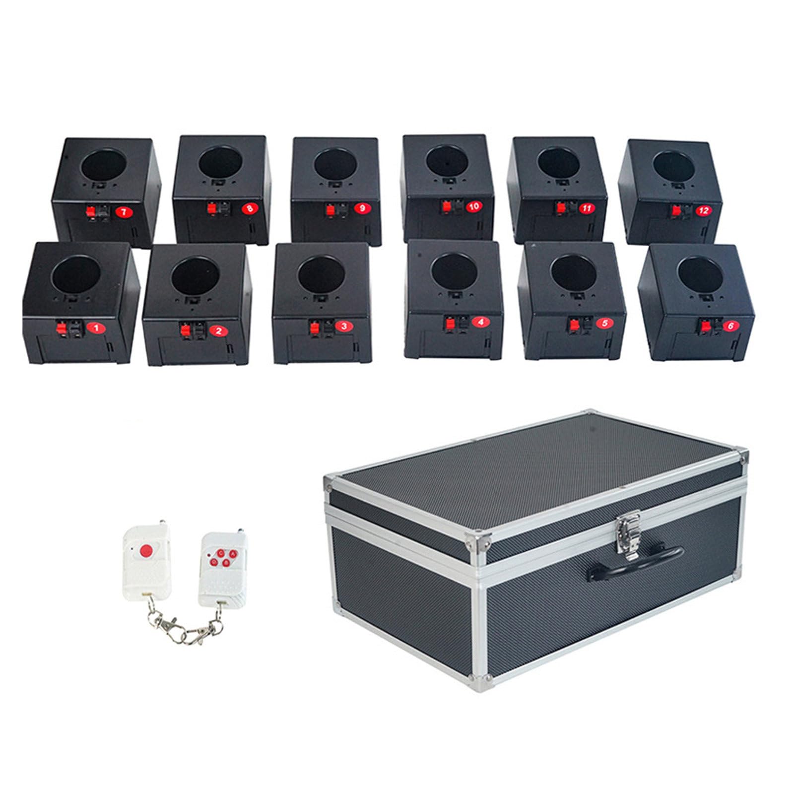 Kalter Pyro-Innenraum, Bühnenzündung, pyrotechnische Maschine, Hochzeitsdekoration, Festival, Party, kabellose Fernbedienung, Feuerwerksabfeuerungssystem,2-control12-seater