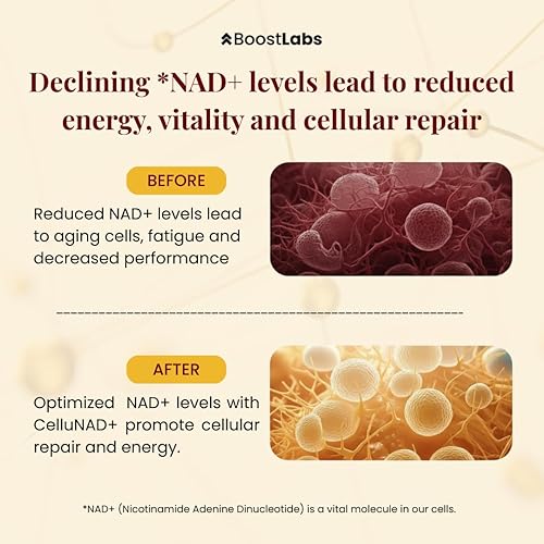 Miniatura 5 de Suplemento liposomal NAD+ Gotas líquidas, alternativa NMN de alta potencia para energía celular, envejecimiento saludable y niebla cerebral, fórmula