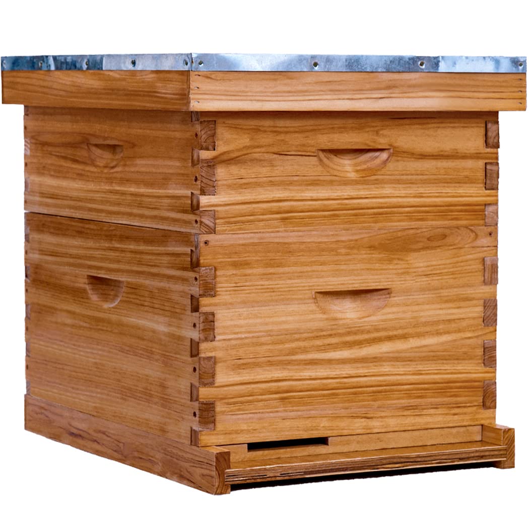 10 frame bee hive complete beehive kit,honey bee hives includes 1 deep bee boxes, 1 bee hive super with beehive frames and foundation