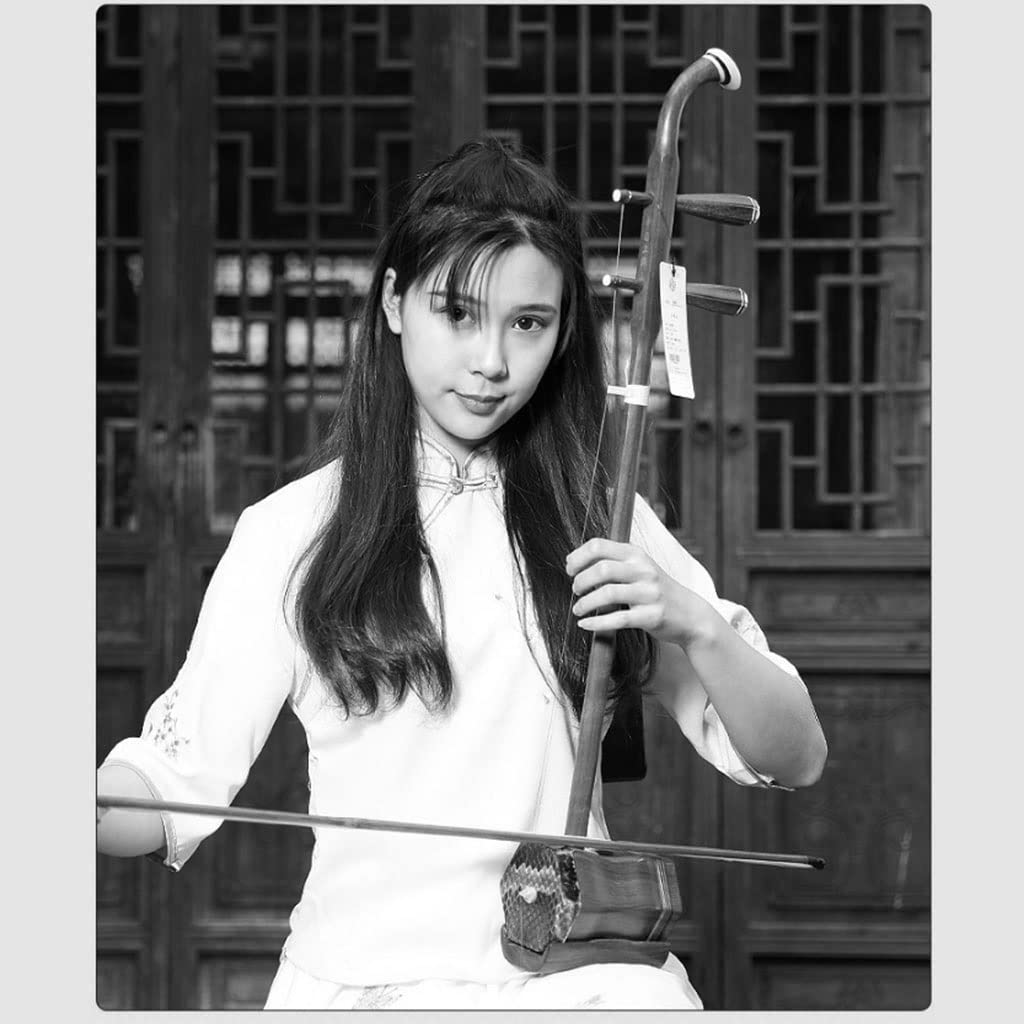 Instrument de Musique Classique Erhu Débutant Professionnel Erhu Loud Débutant Professionnel Instrument Classique Six Faces Professionnel Instrument de Musique Erhu (Color : Black,