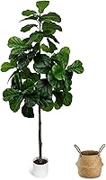 6FT Artificial Fiddle Leaf Fig Tree with White Planter & Woven Basket - Lifelike Faux Ficus Lyrata for Indoor Home Office Decor | LuceAlberi