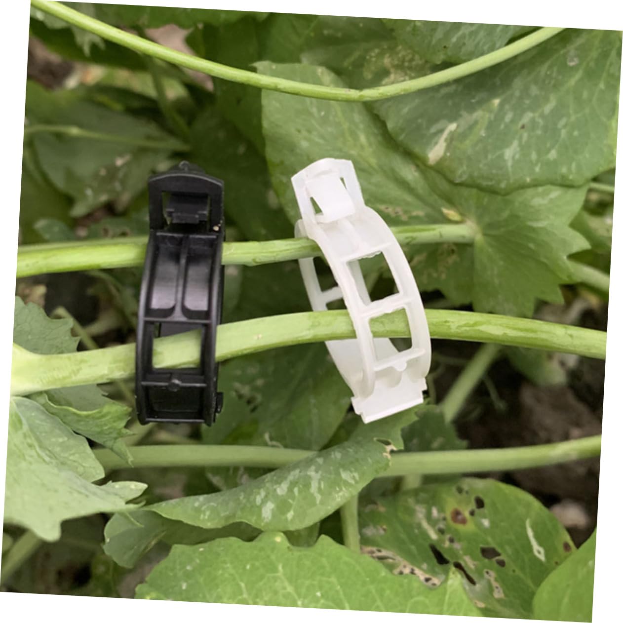 Toyvian 500stücke Pflanzenclips Für Tomaten Flexible Und Wiederverwendbare Klammern Unterstützung Von Und Blumenranken Stabile Materialien Für Gartenprojekte