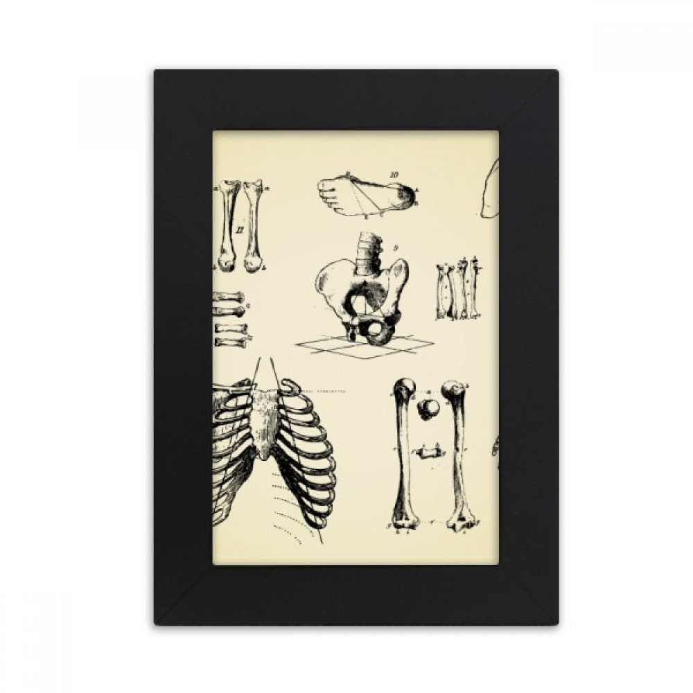 Squelette humain sketch médical cadre photo noir 5x7 pouces DIYthinker
