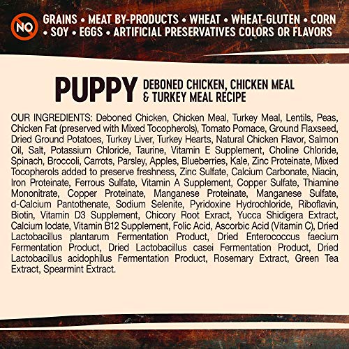 Wellness-CORE-RawRev-Grain-Free-Dry-Puppy-Food-Natural-Ingredients-Made-in-USA-With-Real-Freeze-Dried-Meat-Puppy-Turkey-4-lbs - Cucciolini Doodles   Wellness-CORE-RawRev-Grain-Free-Dry-Puppy-Food-Natural-Ingredients-Made-in-USA-With-Real-Freeze-Dried-Meat-Puppy-Turkey-4-lbs