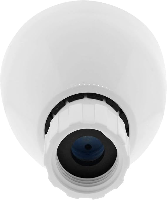Adjustable Flow ABS Shower Head, White Painted, 2 Settings, 2.5 GPM