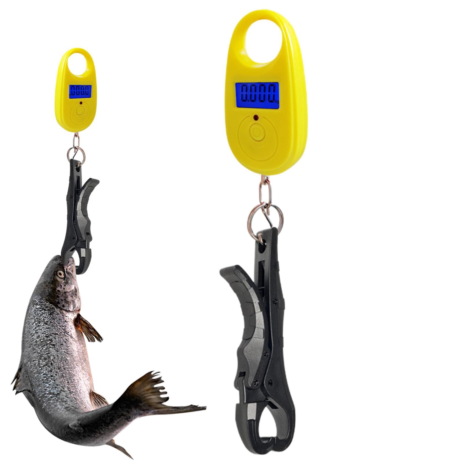 Escala De Pescado,Escama De Pesca,Báscula De Pesca Electrónica | Báscula Digital Con Alta Precisión, Báscula De Peso De Pesca Portátil Que Almacena Hasta 25 Kg Para Pesca Al Aire Libre