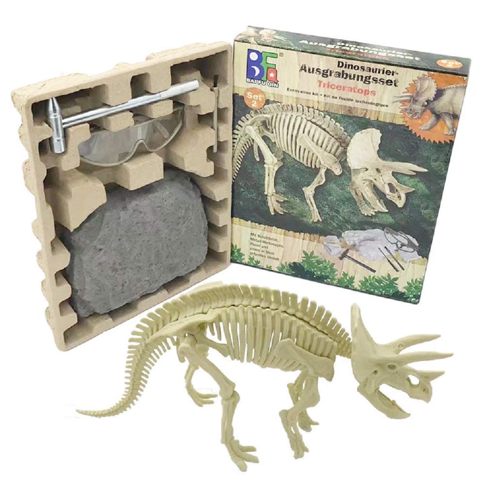 Buy Deluxe Dig Out Dinosaur Skeleton Fossil Palaeontology Archaeology