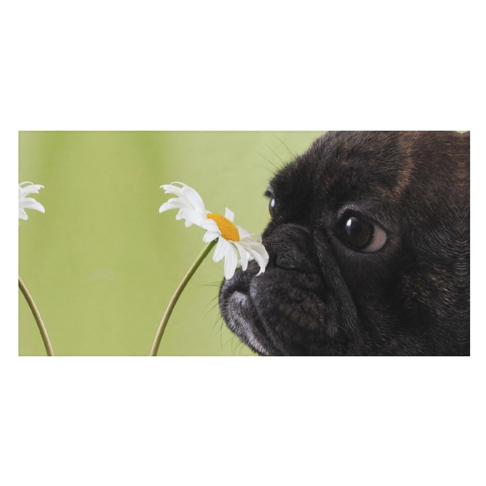 LWORZIIB Beach Towel, Dog Pattern Pug Flower Bath Towel, Pool Towel Great for Gym Swimming 80 X 160cm