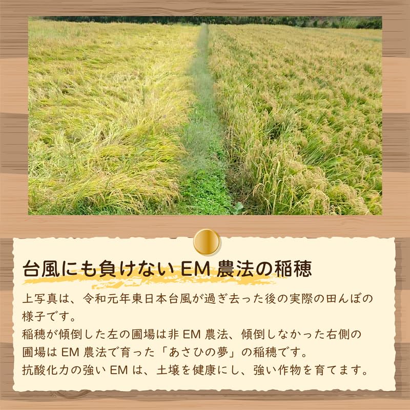 Amazon.co.jp: EM農法の白米 あさひの夢 令和6年産 化学農薬・化学肥料