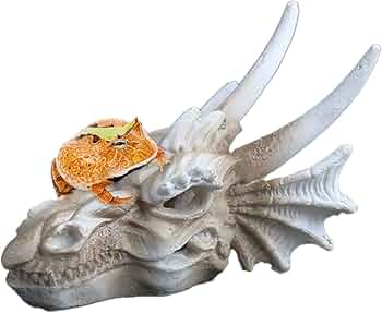 616TEN5BkiL._AC_UF350,